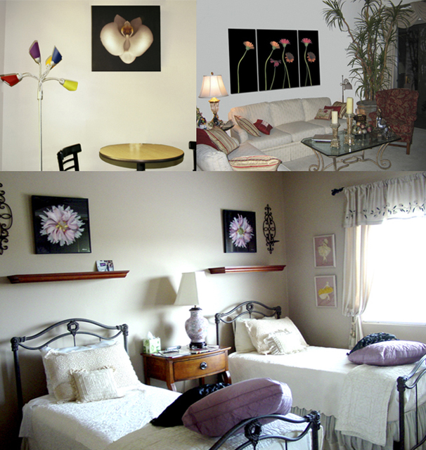 Flowers on Black used in various Interior Designs